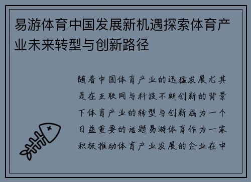 易游体育中国发展新机遇探索体育产业未来转型与创新路径 易游体育中国发展新机遇探索体育产业未来转型与创新路径